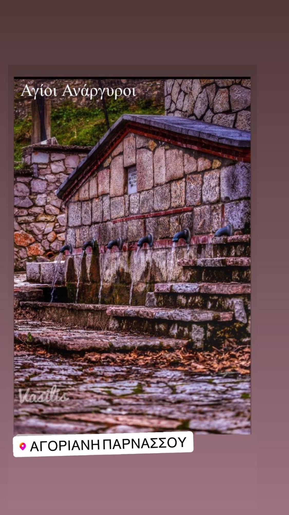 Asimina Guesthouse, Eptalofos Parnassos Eksteriør bilde