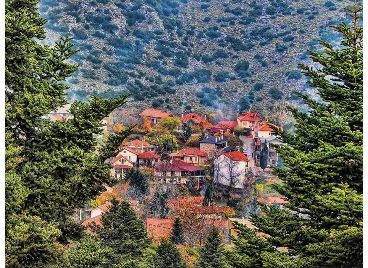 Asimina Guesthouse, Eptalofos Parnassos Eksteriør bilde